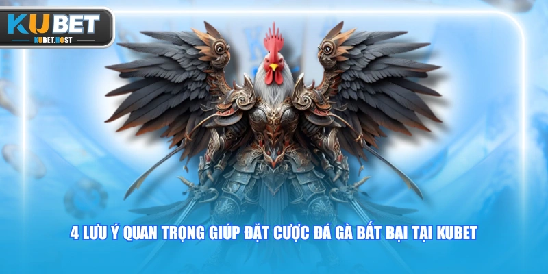 Bật Mí 4 Cách Soi Gà Trước Khi Cược KUBET Chuẩn Xác 3 4 lưu ý quan trọng giúp đặt cược đá gà bất bại tại KUBET