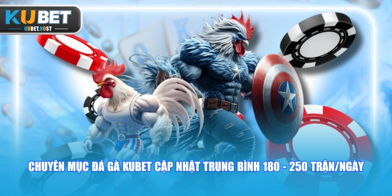 Chuyên mục Đá Gà KUBET cập nhật trung bình 180 - 250 trận/ngày
