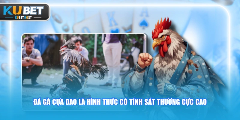 Đá Gà Cựa Dao Mãn Nhãn Với Những Trận Đấu Máu Lửa Nghẹt Thở 1 Đá gà cựa dao là hình thức có tính sát thương cực cao