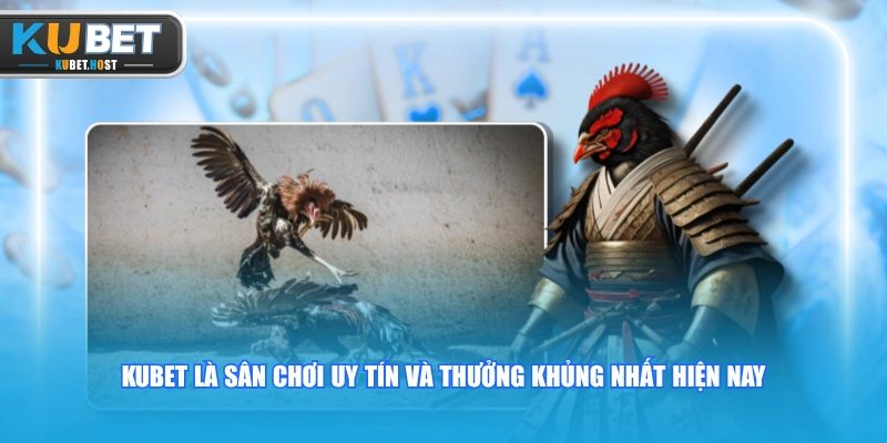 Đá Gà Cựa Dao Mãn Nhãn Với Những Trận Đấu Máu Lửa Nghẹt Thở 3 KUBET là sân chơi uy tín và thưởng khủng nhất hiện nay