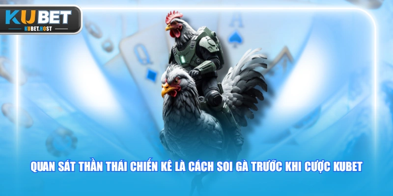 Bật Mí 4 Cách Soi Gà Trước Khi Cược KUBET Chuẩn Xác 2 Quan sát thần thái chiến kê là cách soi gà trước khi cược KUBET