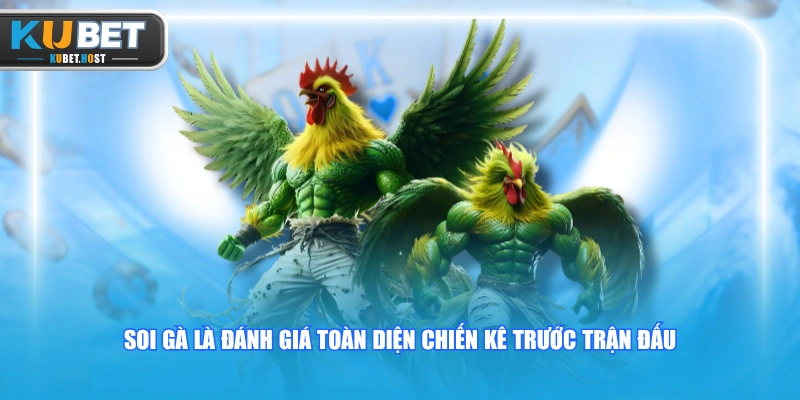 Bật Mí 4 Cách Soi Gà Trước Khi Cược KUBET Chuẩn Xác 1 Soi gà là đánh giá toàn diện chiến kê trước trận đấu