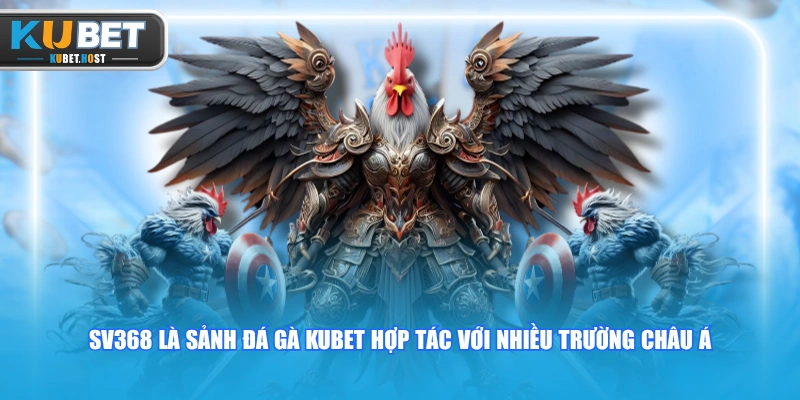 SV368 là sảnh Đá Gà KUBET hợp tác với nhiều trường châu Á