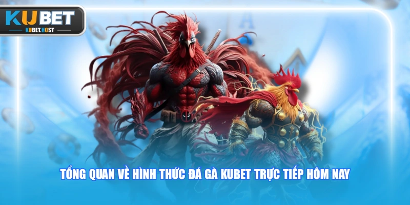 Trải Nghiệm Đá Gà KUBET Trực Tiếp Hôm Nay Siêu Hấp Dẫn 1 Tổng quan về hình thức đá gà KUBET trực tiếp hôm nay